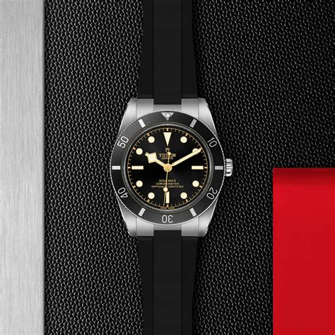 tudor black bay case.